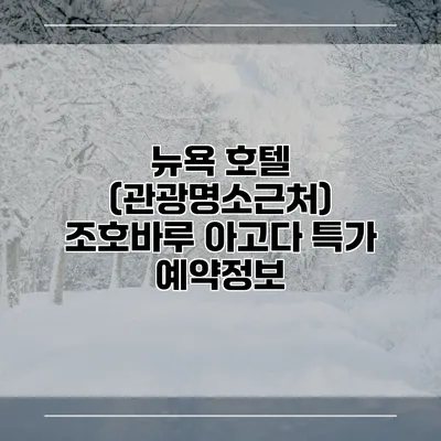 뉴욕 호텔 (관광명소근처) 조호바루 아고다 특가 예약정보