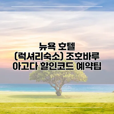 뉴욕 호텔 (럭셔리숙소) 조호바루 아고다 할인코드 예약팁