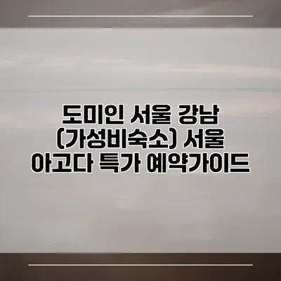 도미인 서울 강남 (가성비숙소) 서울 아고다 특가 예약가이드