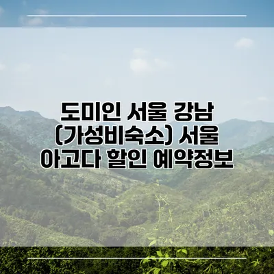 도미인 서울 강남 (가성비숙소) 서울 아고다 할인 예약정보