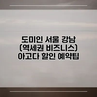 도미인 서울 강남 (역세권 비즈니스) 아고다 할인 예약팁