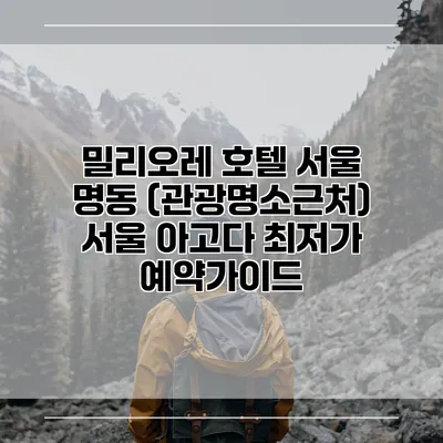 밀리오레 호텔 서울 명동 (관광명소근처) 서울 아고다 최저가 예약가이드
