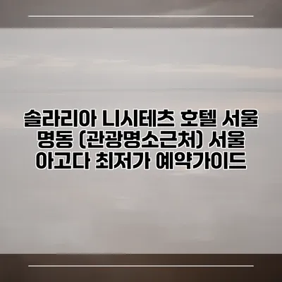 솔라리아 니시테츠 호텔 서울 명동 (관광명소근처) 서울 아고다 최저가 예약가이드