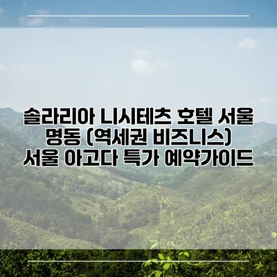 솔라리아 니시테츠 호텔 서울 명동 (역세권 비즈니스) 서울 아고다 특가 예약가이드