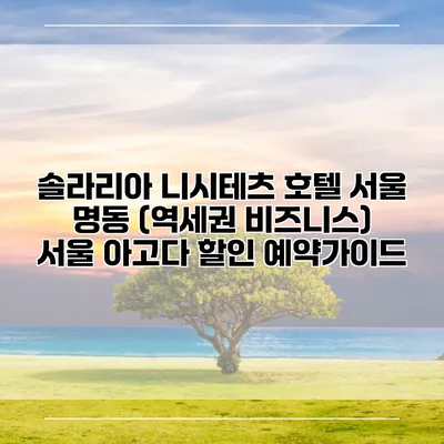 솔라리아 니시테츠 호텔 서울 명동 (역세권 비즈니스) 서울 아고다 할인 예약가이드