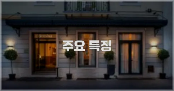 ✨ 주요 특징