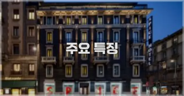 ✨ 주요 특징