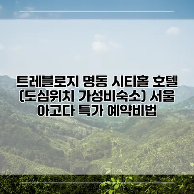 트레블로지 명동 시티홀 호텔 (도심위치 가성비숙소) 서울 아고다 특가 예약비법