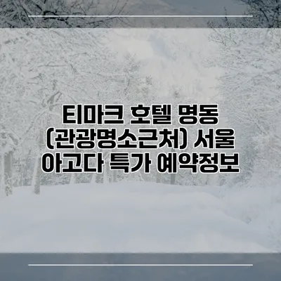 티마크 호텔 명동 (관광명소근처) 서울 아고다 특가 예약정보