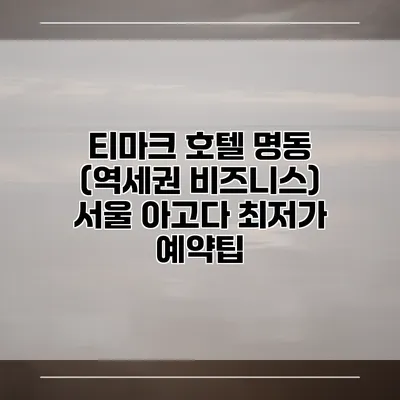 티마크 호텔 명동 (역세권 비즈니스) 서울 아고다 최저가 예약팁