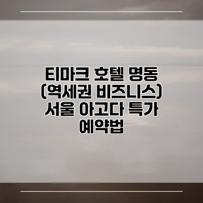 티마크 호텔 명동 (역세권 비즈니스) 서울 아고다 특가 예약법