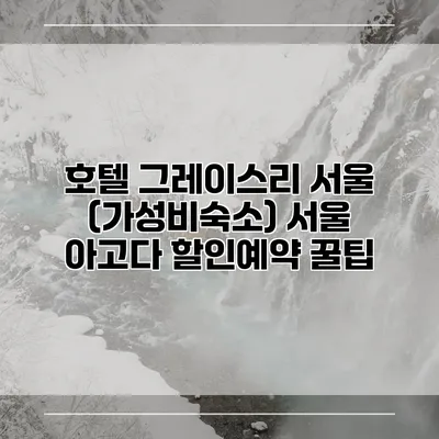 호텔 그레이스리 서울 (가성비숙소) 서울 아고다 할인예약 꿀팁