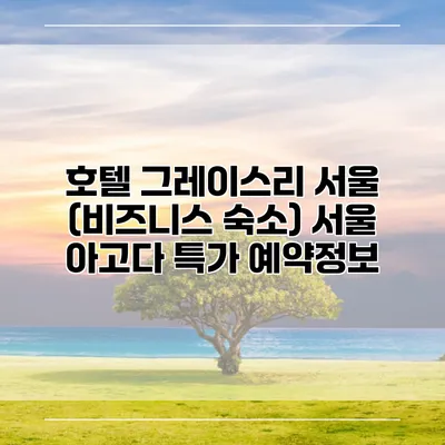 호텔 그레이스리 서울 (비즈니스 숙소) 서울 아고다 특가 예약정보