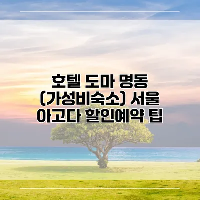 호텔 도마 명동 (가성비숙소) 서울 아고다 할인예약 팁