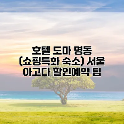 호텔 도마 명동 (쇼핑특화 숙소) 서울 아고다 할인예약 팁