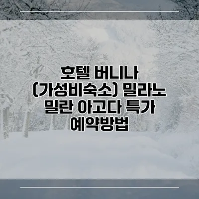 호텔 버니나 (가성비숙소) 밀라노 밀란 아고다 특가 예약방법