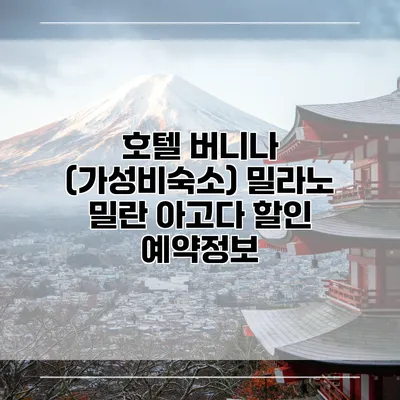 호텔 버니나 (가성비숙소) 밀라노 밀란 아고다 할인 예약정보