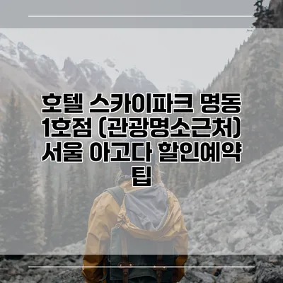 호텔 스카이파크 명동 1호점 (관광명소근처) 서울 아고다 할인예약 팁