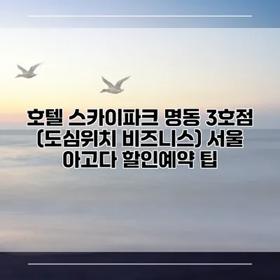 호텔 스카이파크 명동 3호점 (도심위치 비즈니스) 서울 아고다 할인예약 팁