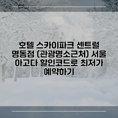 호텔 스카이파크 센트럴 명동점 (관광명소근처) 서울 아고다 할인코드로 최저가 예약하기