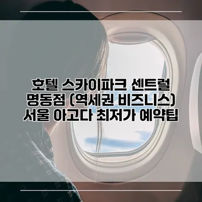 호텔 스카이파크 센트럴 명동점 (역세권 비즈니스) 서울 아고다 최저가 예약팁