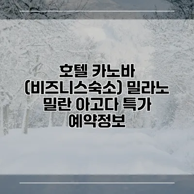 호텔 카노바 (비즈니스숙소) 밀라노 밀란 아고다 특가 예약정보